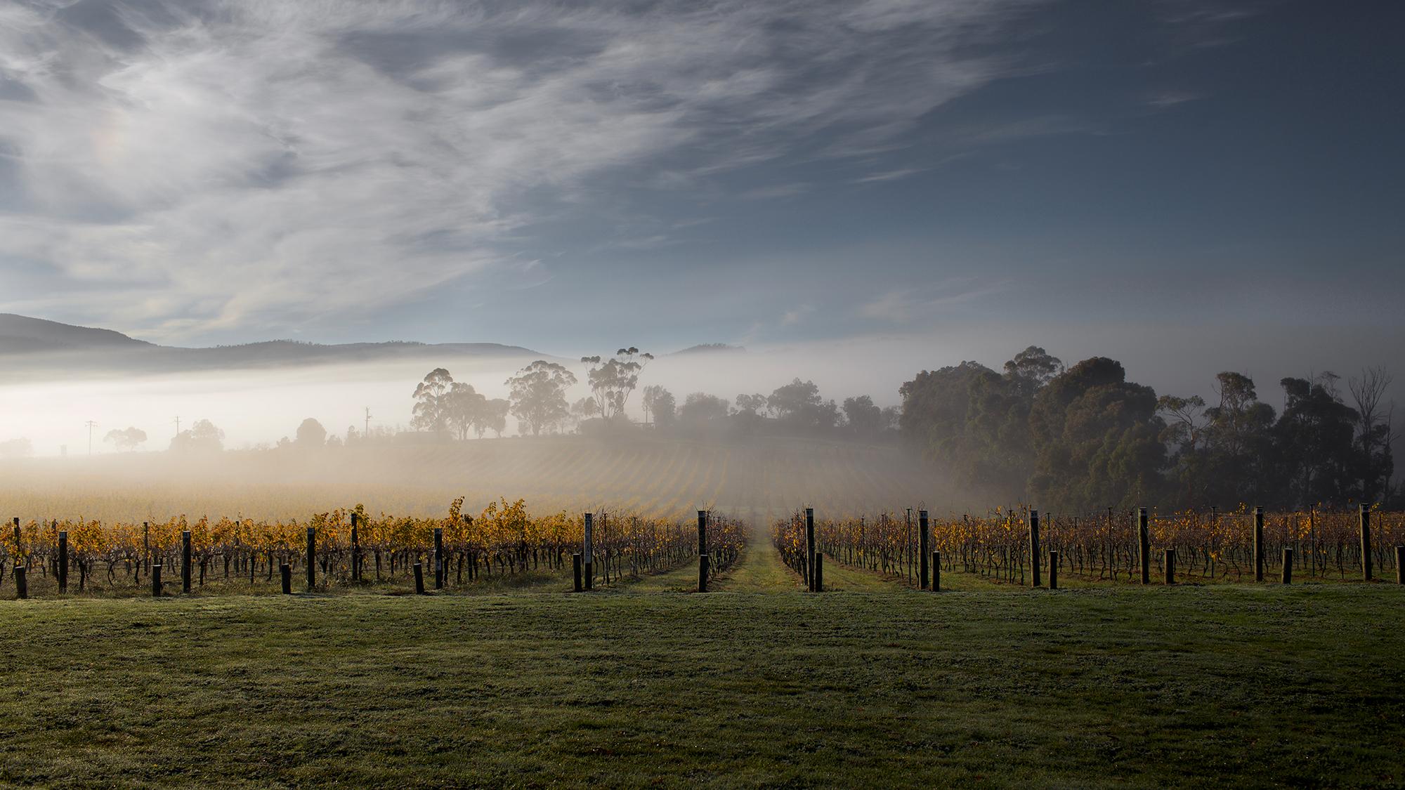 Yarra Valley - De Bortoli Wines