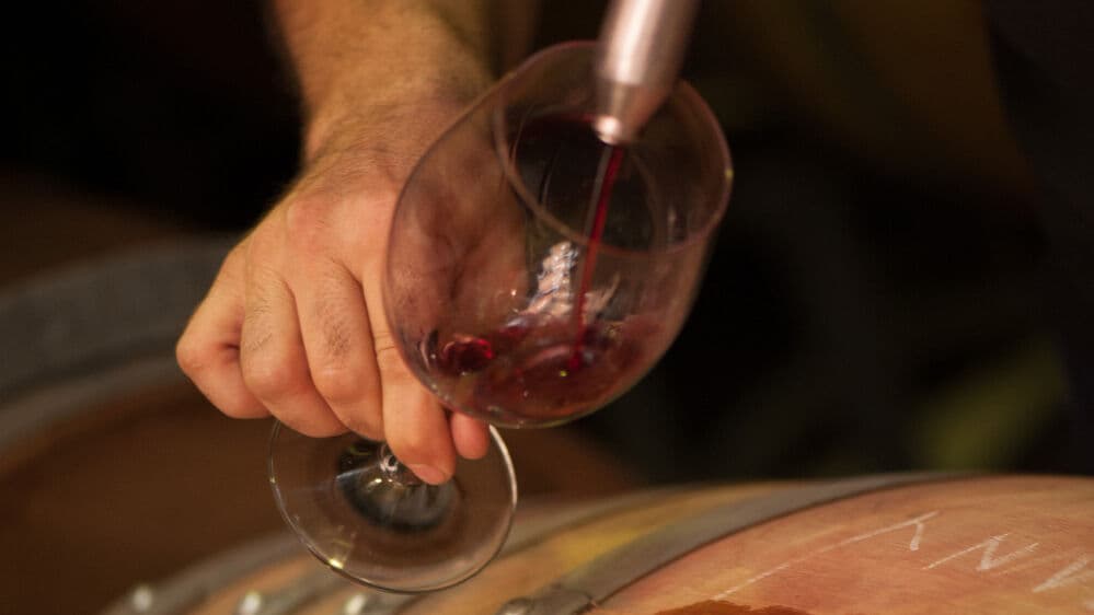 Tasting wine from the barrel