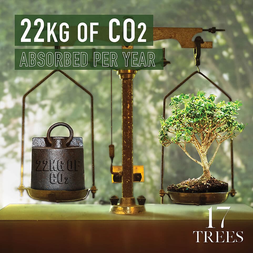 How much carbon dioxide does a tree absorb? De Bortoli Wines