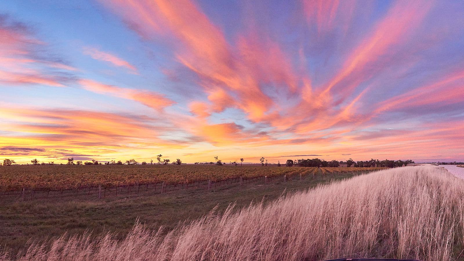 Heathcote