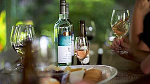 Enjoying Deen Vat Series wine and Nibbles in the De Bortoli park at Bilbul