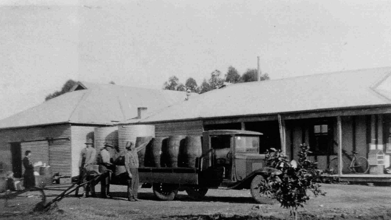 De Bortoli Wines in 1930, orgins at Bilbul NSW Australia