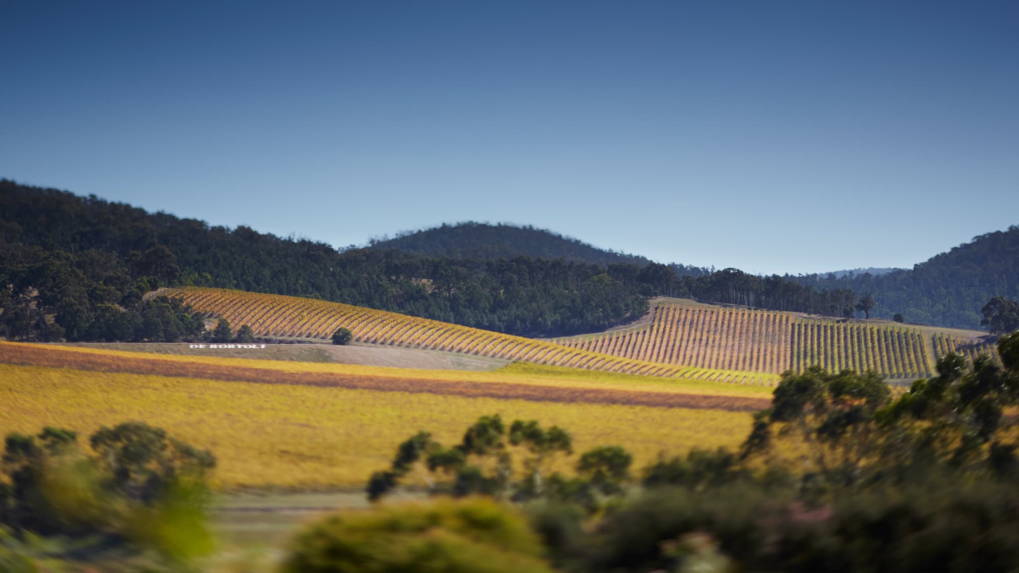 Visit the Yarra Valley Region - De Bortoli Wines