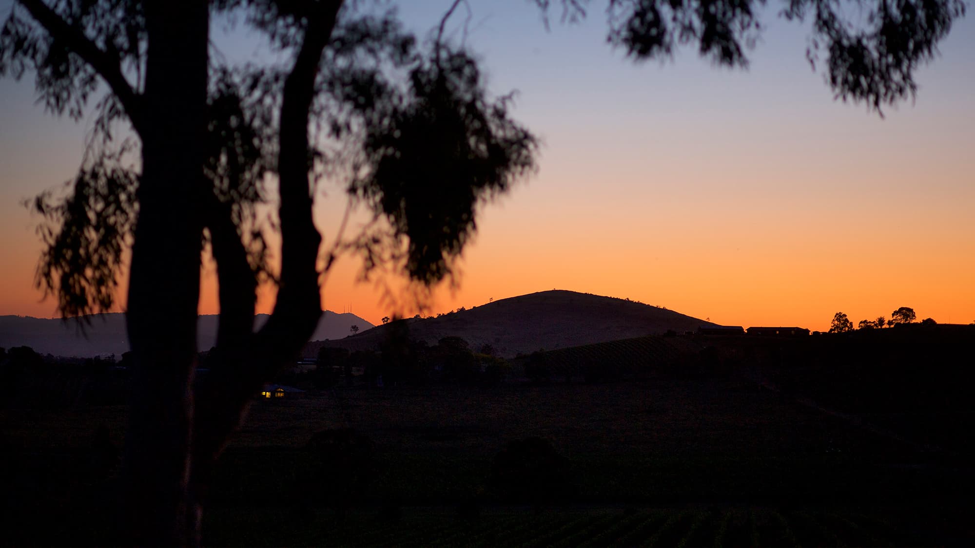 Rolling hills De Bortoli Wines Yarra Valley Estate on dusk