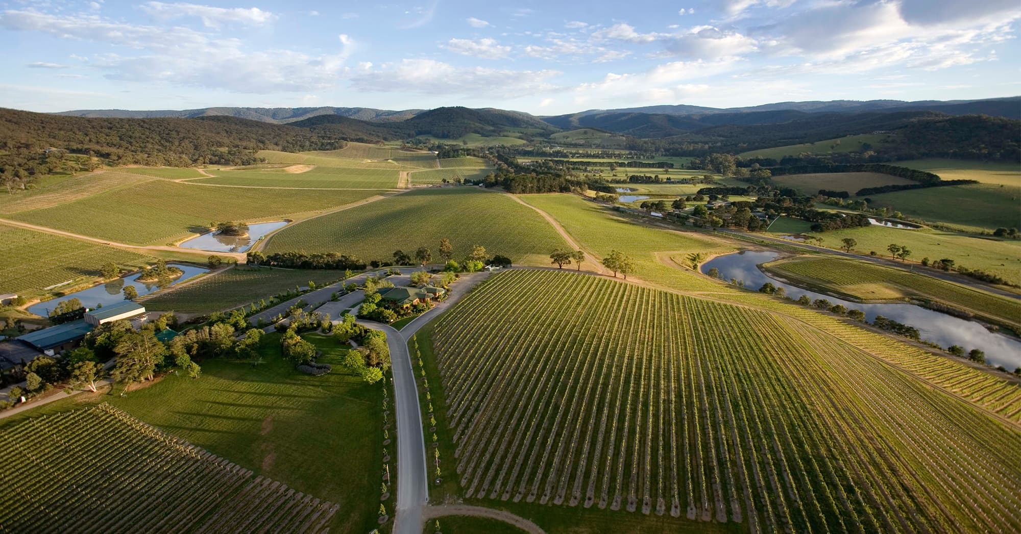 Yarra Valley Winery De Bortoli Wines